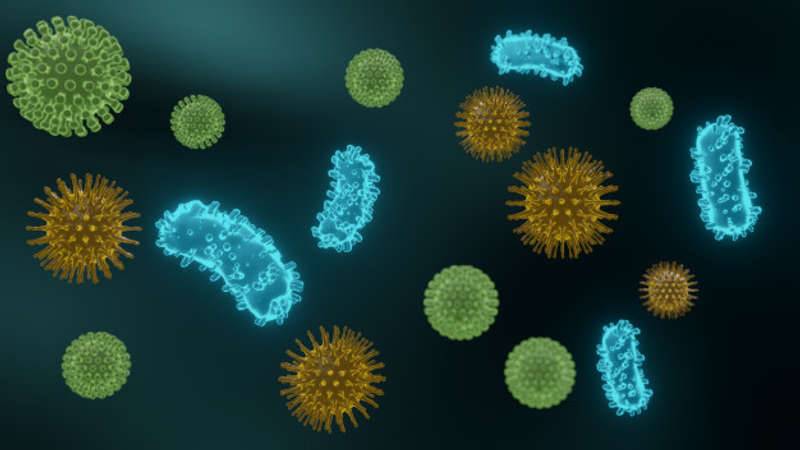 Virus Marburg Meluas, Beredar Kabar: Bocor dari Laboratorium