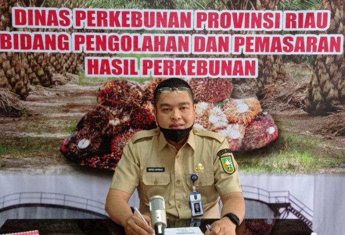 Tertinggi Sejak Tahun 2010, Harga Sawit Riau Tembus Rp2.506 Perkilogram