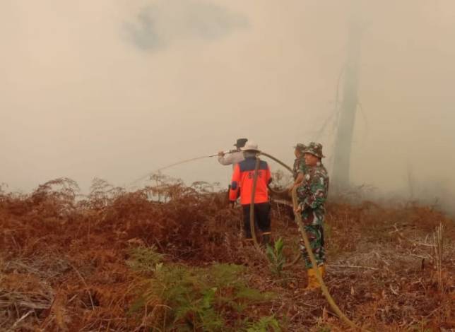 Api Berhasil Dipadamkan, Petugas Fokus Lakukan Pendinginan Lokasi Karhutla di Dumai