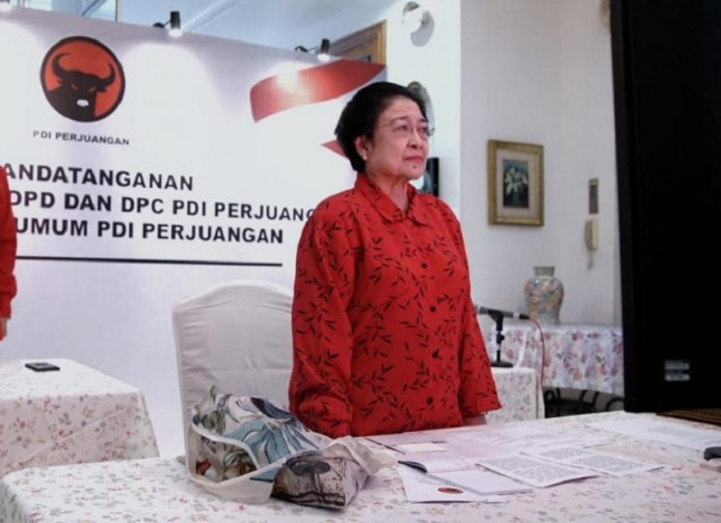 Untuk Tingkatkan Penerimaan Negara dan Pencegahan Korupsi, Megawati Dukung Pemantapan SIN