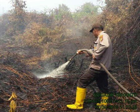 Sudah Dua Hari, Kapolsek Bangko dan Jajaran Berjibaku Padamkan Api di Lahan Sawit