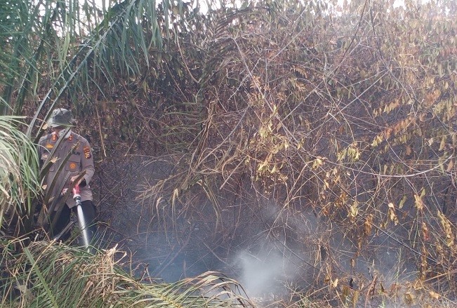 Sudah Empat Hari Terbakar, 60 Hektare Lahan Perusahaan di Inhu Tak Kunjung Padam