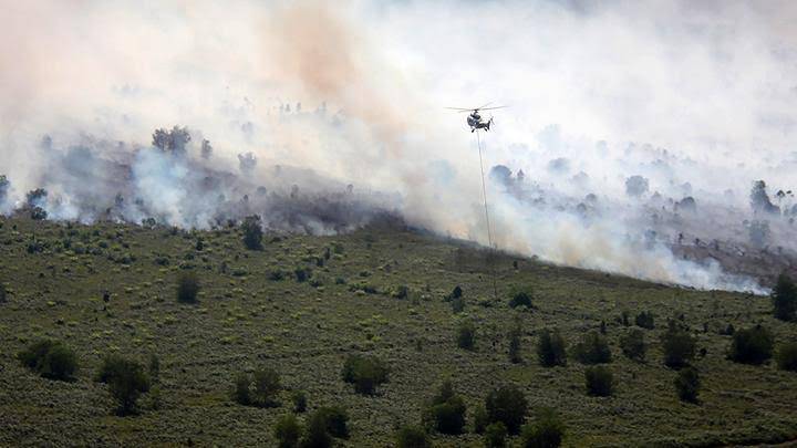 1.200 Hektar Lahan di Riau Terbakar, Hujan dan Satgas Cegah Kabut Asap