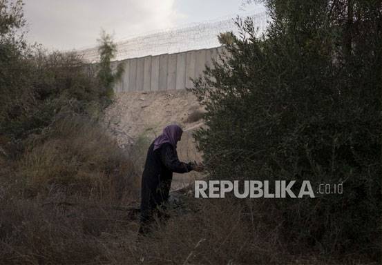 Pemukim Israel Rampas Tanah Petani Palestina di Tepi Barat