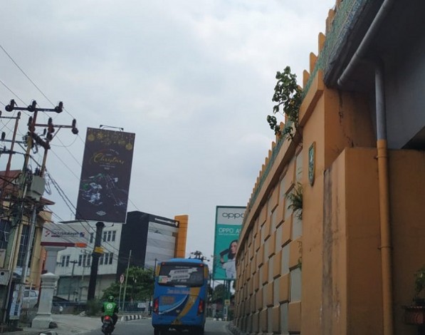Kurang Perawatan, Tanaman Liar Mulai Tumbuh di Dinding Fly Over Pekanbaru