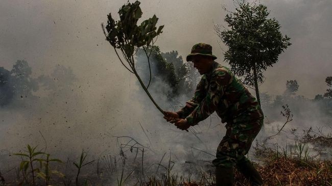 Sudah 21 Tersangka Karhutla di Riau Ditahan Polisi