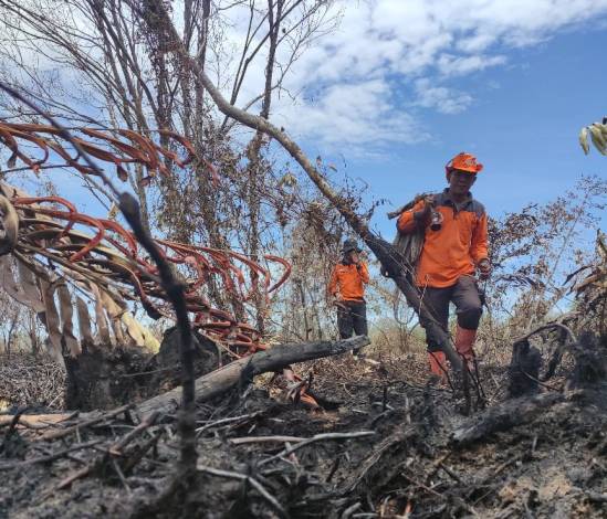Sudah 131 Hektare Lahan di Riau Terbakar, Paling Banyak di Bengkalis