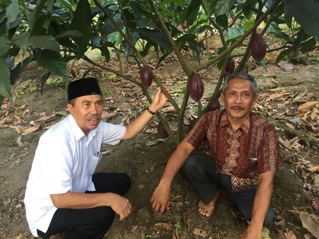 Syamsuar: Kakao Bisa jadi Komoditi Unggulan Riau