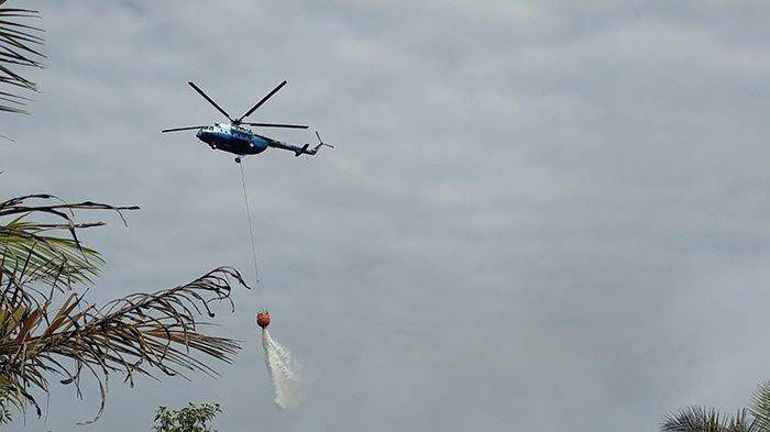 Kebakaran Lahan Terjadi di Rohil dan Rupat, Dua Helikopter Dikerahkan