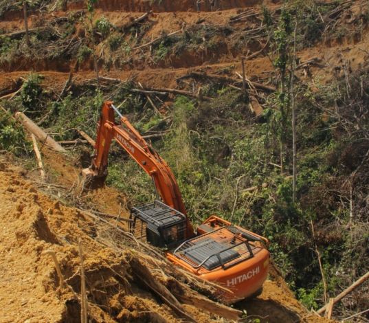 KPH Indragiri DLHK Riau Tangkap Alat Berat Perambah Hutan TNBT