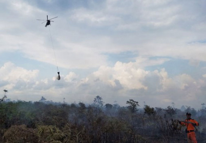 Titik Api Bermunculan, Satgas Karhutla Riau Padamkan Kebakaran di 4 Daerah