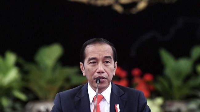 Jokowi soal Jayapura: Tindak Pelaku Anarkis dan Rasialis