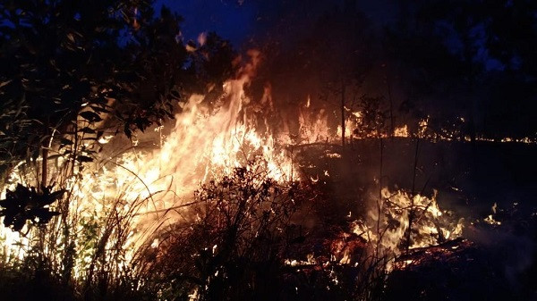 Lahan 80x50 Meter di Tobek Godang Terbakar, Damkar Turunkan 2 Unit Mobil