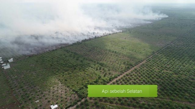 Ratusan Hektar Lahan Terbakar, Pelalawan Membara Lagi