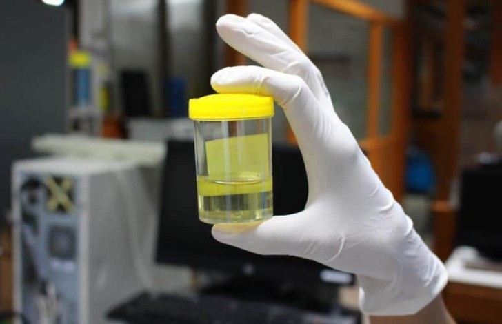 Pemko Pekanbaru akan Gelar Tes Urine pada ASN