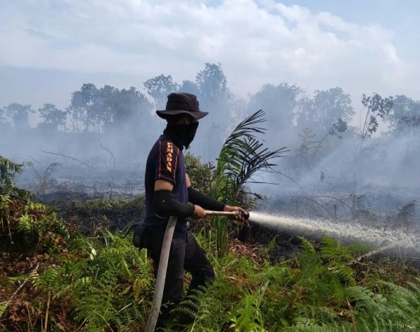 Belasan Hektar Lahan di Pulau Rupat Bengkalis Terbakar