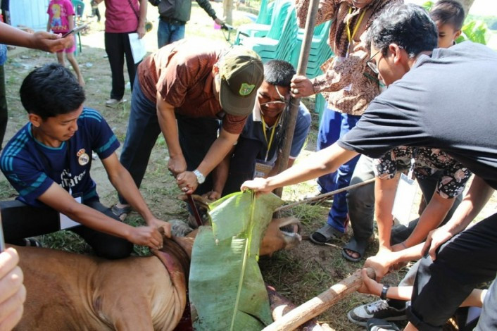 Kadiskes Riau: Pemotongan Hewan Kurban Harus Terapkan Protokol Kesehatan Covid-19
