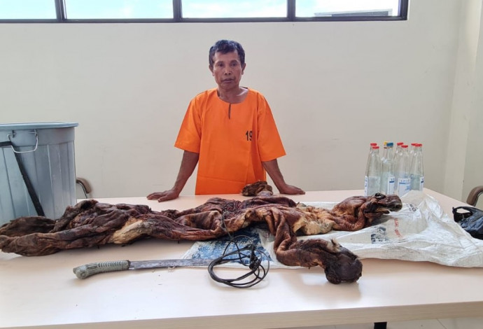 Hendak Jual Kulit Harimau, Pria di Kuansing Ditangkap Polisi, Rekannya Kabur Lompat dari Jembatan