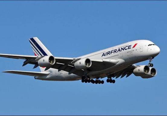 2 Pilot Air France Dipecat usai Adu Jotos di Kokpit saat Penerbangan