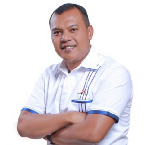 Kandidat Kuat Wakil Ketua DPRD Riau, Kelmi: Itu Kewenangan DPP