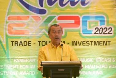 Gubri: Realisasi Investasi Riau Terus Alami Peningkatan