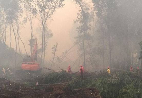BMKG Prediksi Bencana Kebakaran Hutan Meningkat di 2023