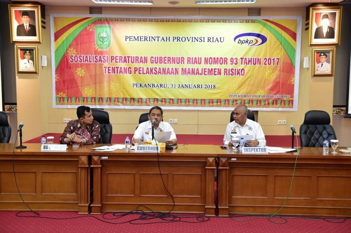 BPKP Apresiasi Langkah Gubernur Riau Terapkan Manajemen Rasiko