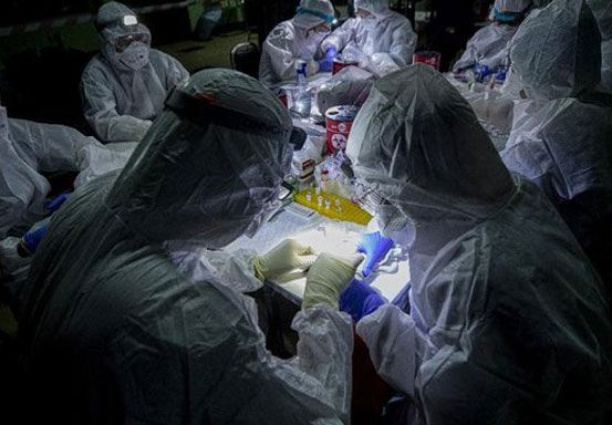 WHO Soal Risiko Virus Baru Neocov: Perlu Penelitian Lebih Lanjut