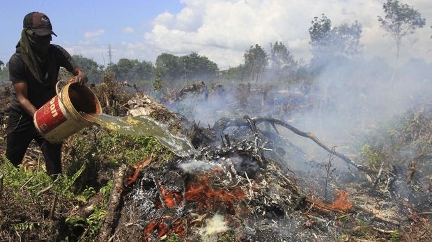 Polda Riau Selidiki Titik Api di Lima Perusahaan