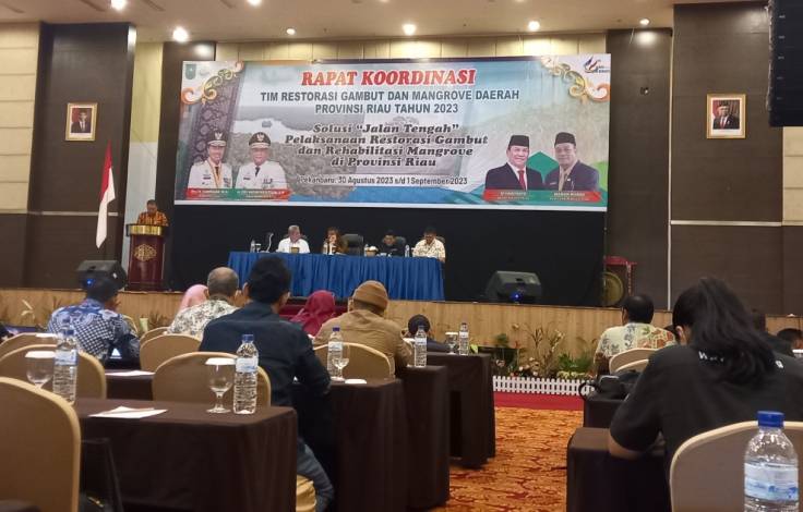 Jadi Daerah Prioritas, Menilik Progres Restorasi Gambut dan Rehabilitasi Mangrove di Riau
